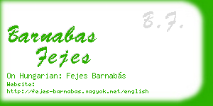 barnabas fejes business card