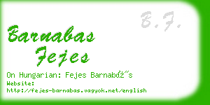 barnabas fejes business card